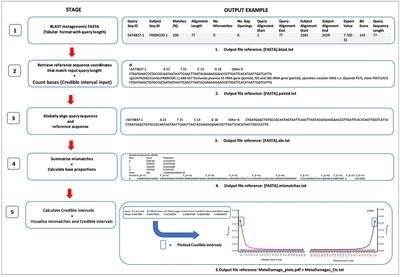 MetaDamage tool: Examining post-mortem damage in sedaDNA on a metagenomic scale